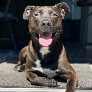 Meet your Posher, Dana